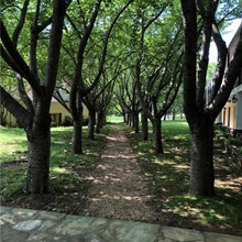 A view of the grounds at the Awards Retreat location in Virginia