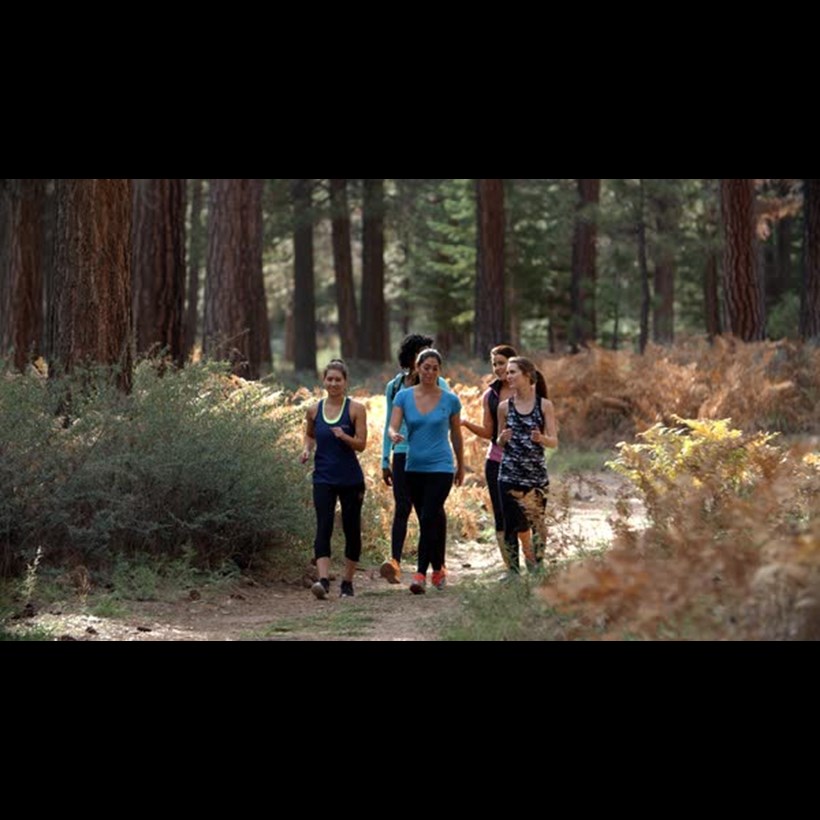 Walkers on a path in a forest having a conversation. Walkers on a path in a forest having a conversation.